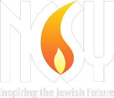 NCSY Careers